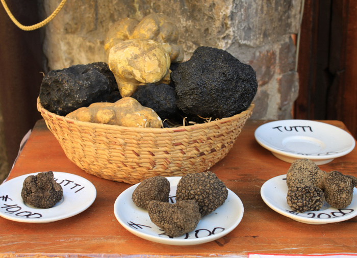 Truffle Hunting - Love, Wine, and Beauty of Tuscany and Umbria luxury