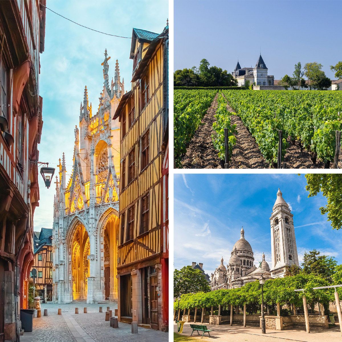 Travelive Reviews