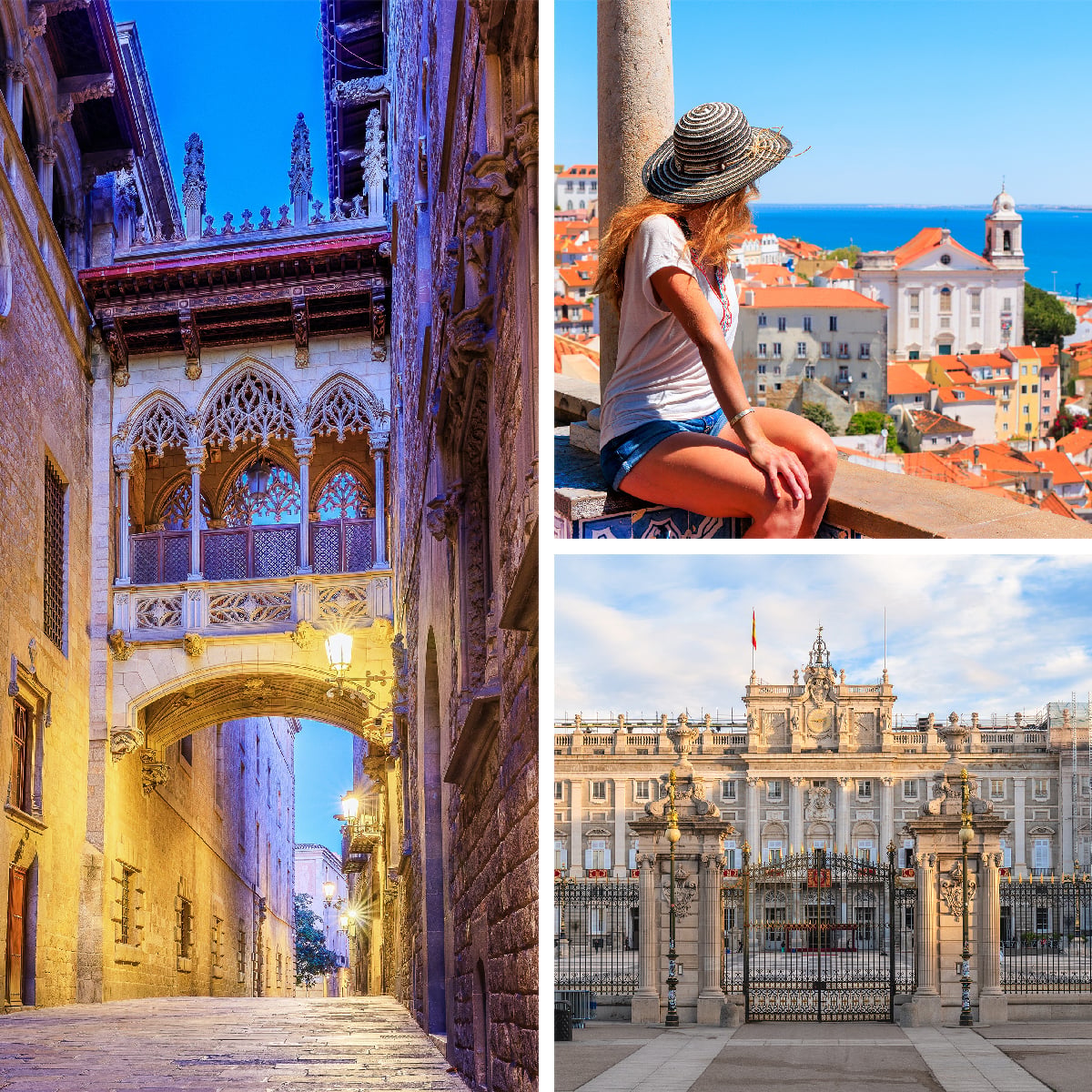 Travelive Reviews