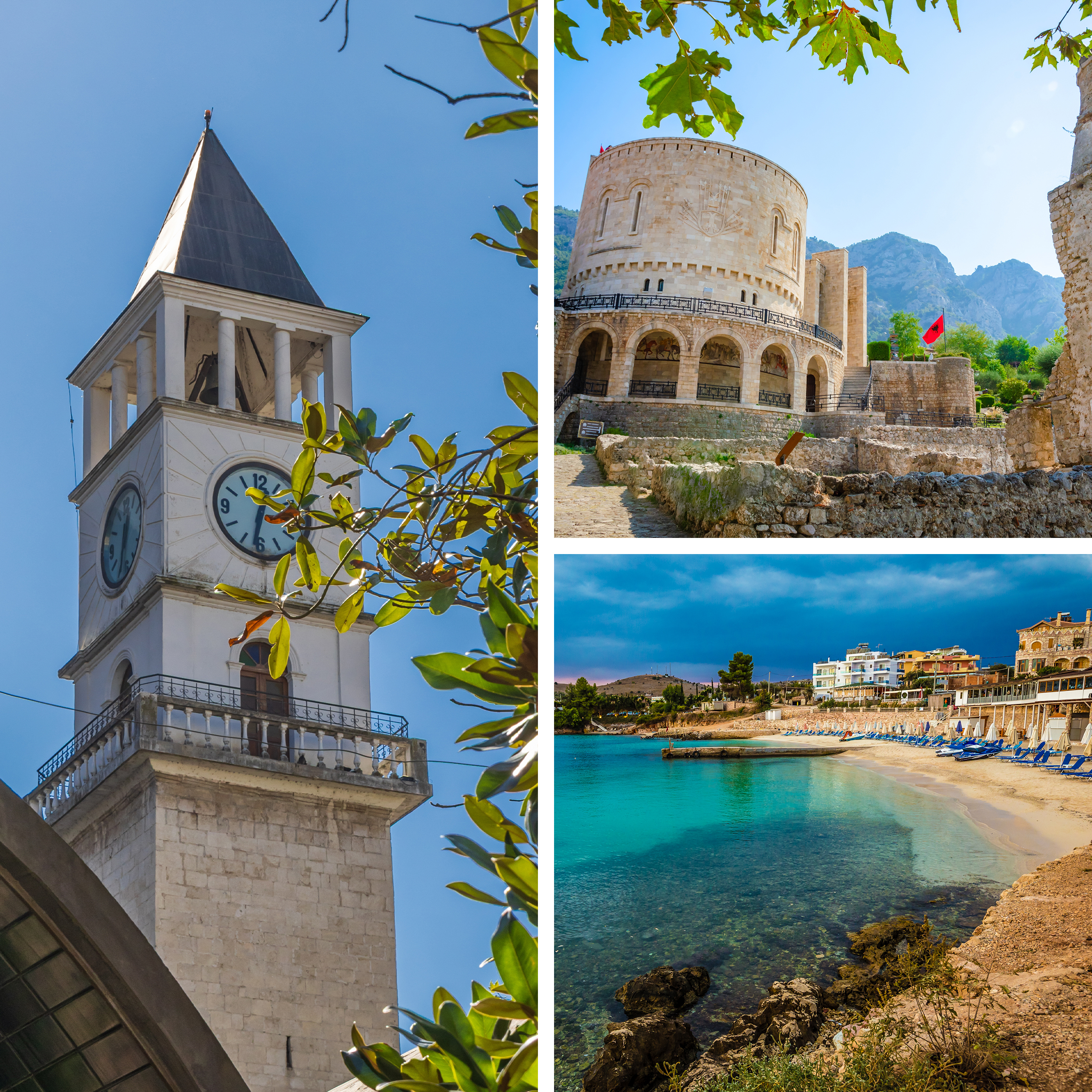 Travelive Reviews