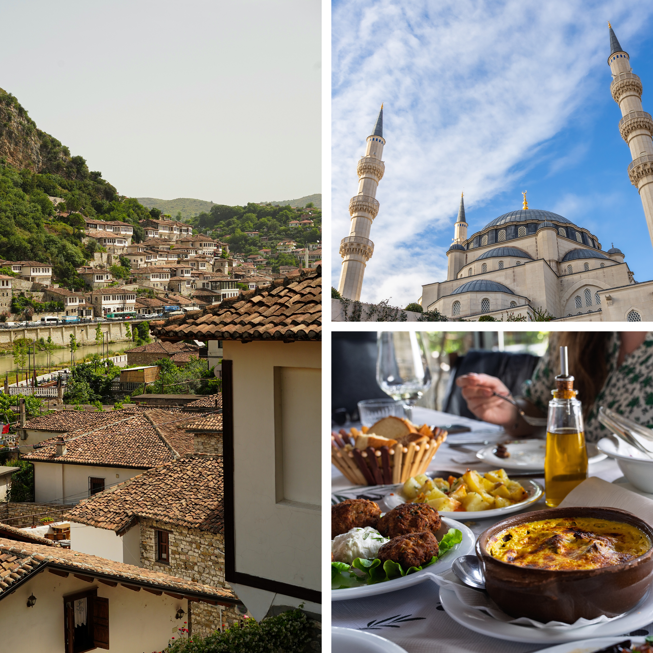 Travelive Reviews