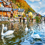  - Vacation packages by Travelive