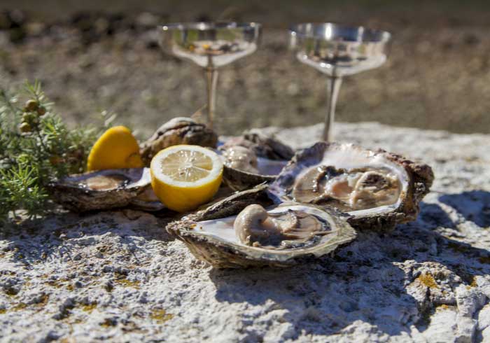 Ston oysters - Honeymoon trips created by Travelive