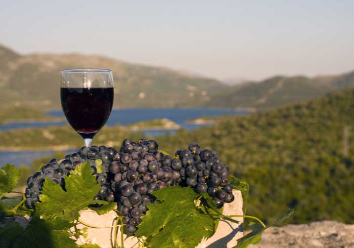 Wine Tasting Peljesac - Romantic Honeymoon in Croatia, Travelive