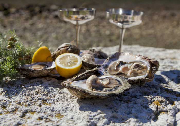 Ston oysters – Honeymoon trips created by Travelive