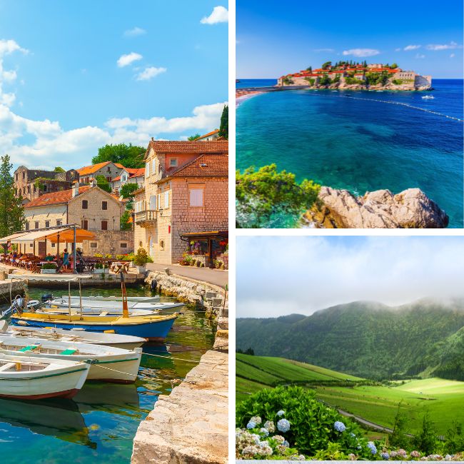 Travelive Reviews