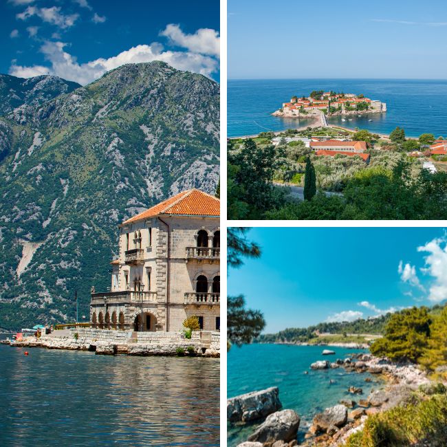 Travelive Reviews