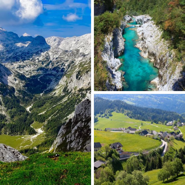 Travelive Reviews