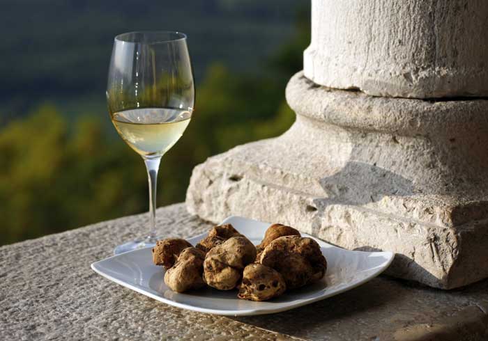 Truffle hunting in Istria – Food and Wine Holidays in Croatia, Travelive