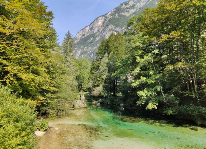 Luxury Vacation in Slovenia, Travelive