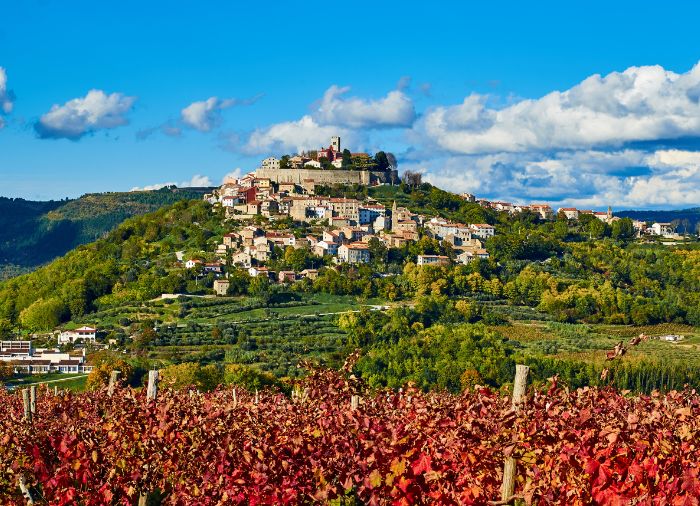 Luxury Vacation in Slovenia, Travelive