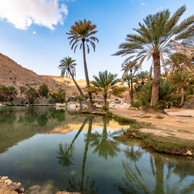 Deserts and the Oases, Egypt holiday destinations