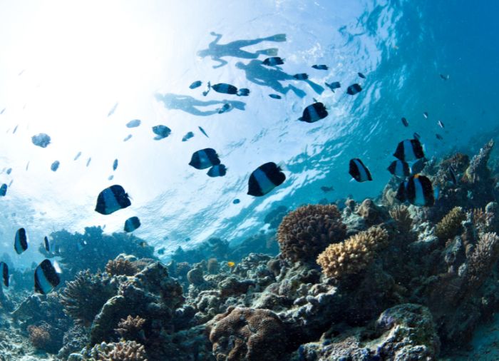 Egypt vacation tours with Travelive, luxury travel agency