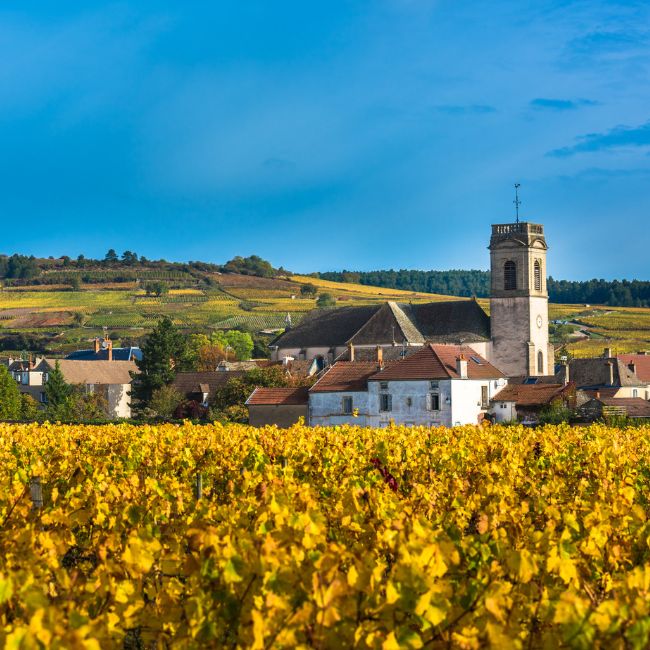 Burgundy France holiday destinations, luxury packages by Travelive