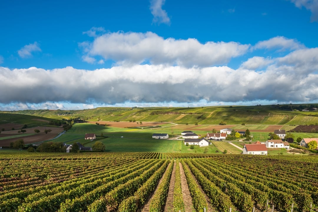 Gastronomy, Chateaux & Parisian Elegance Split - France Vacation Package Created By Travelive