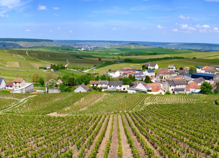 Grand Wine Tour: Champagne to Bordeaux Split – France Vacation Package Created By Travelive