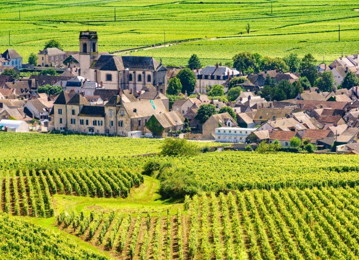 Grand Wine Tour: Champagne to Bordeaux Vis – France Vacation Package Created By Travelive