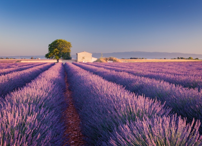 Paris & Provence: Iconic Beginnings Brac Vidova Gora – France Vacation Package Created By Travelive