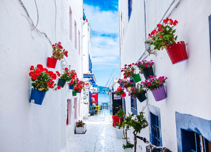 Echoes of the Aegean: A Journey Through Greece & Turkey package, Travelive