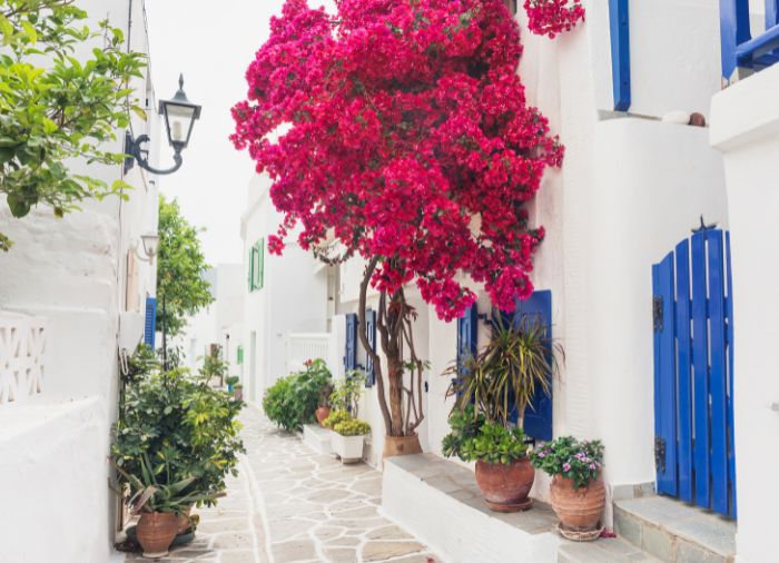 Italian Green & Aegean Blue package, Travelive