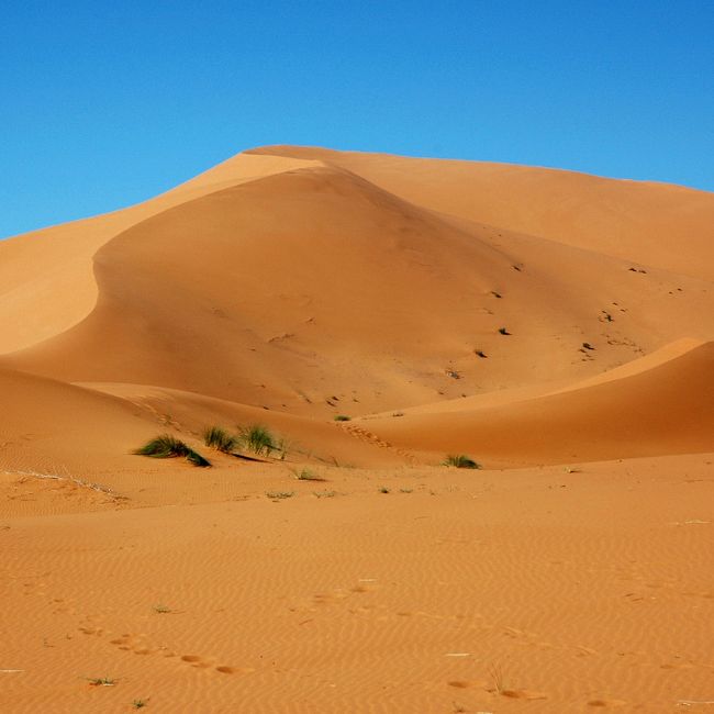 Top Destinations in Morocco, Travelive Moroccan Desert, Morocco holiday destinations, luxury packages by Travelive