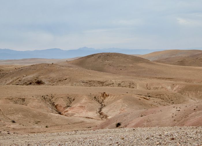 honeymoon packages with Travelive, luxury travel agency