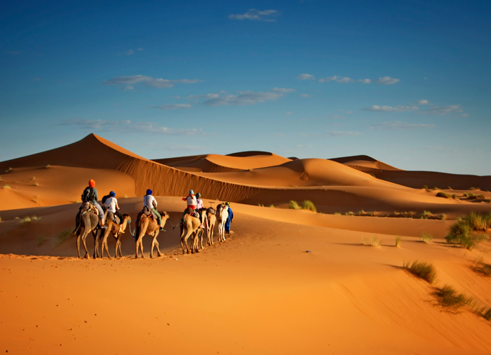 Moroccan Adventure: From Imperial Cities to Desert Dunes package in Fez, Merzouga, Ouarzazate, Marrakech
