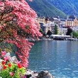 Switzerland Vacation by Travelive