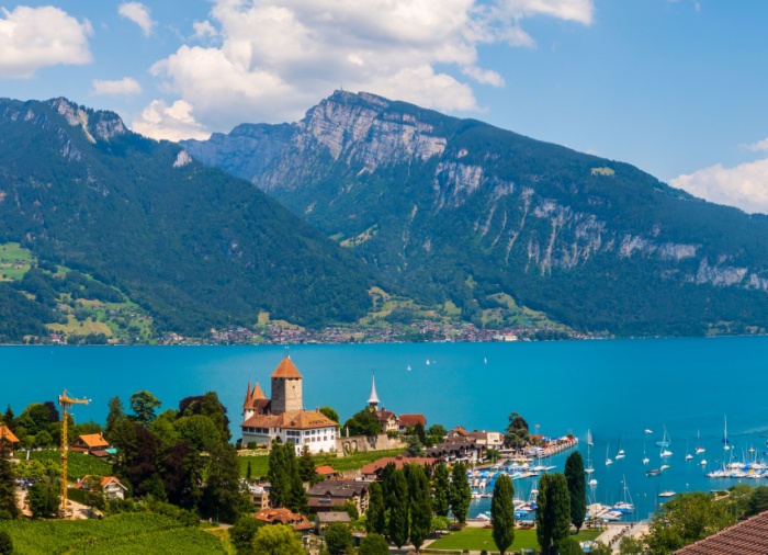 Riviera, Alps and Valleys: Your Swiss Panorama Trip package