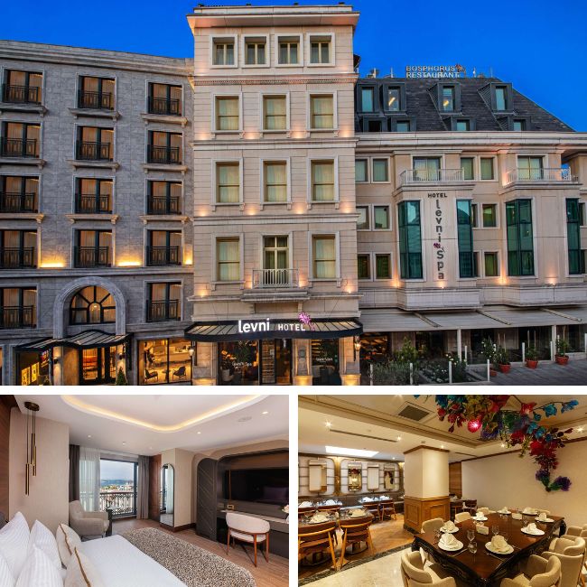 Levni Istanbul by Accor - Luxury Hotels Istanbul, Travelive